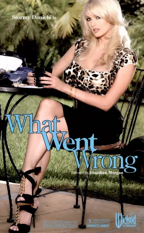 What Went Wrong poster