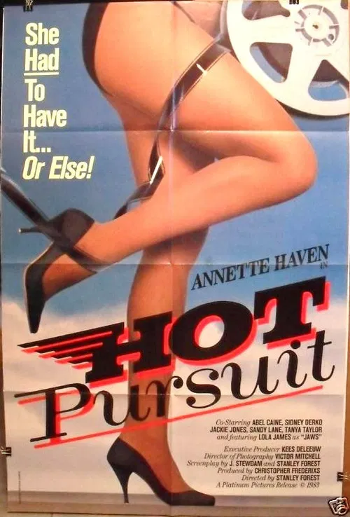 Hot Pursuit poster