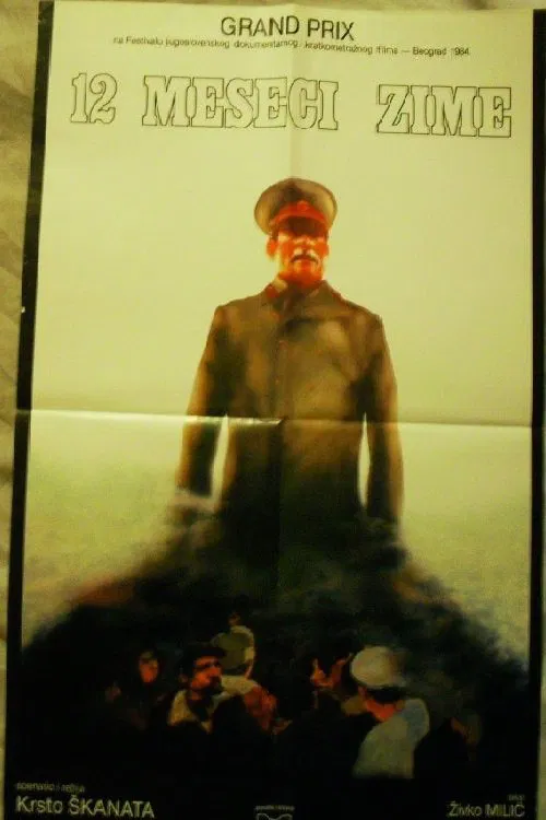 12 Months of Winter poster