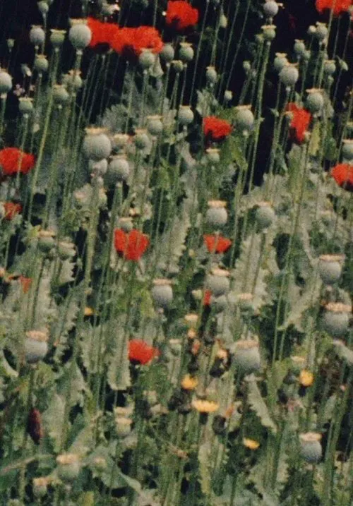 Place of Work poster