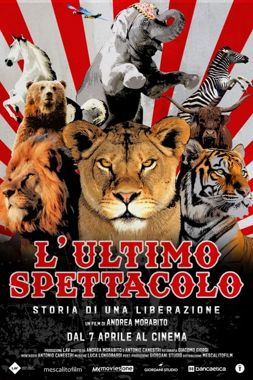 L’ultimo spettacolo poster