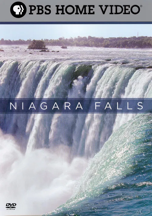 Niagara Falls poster