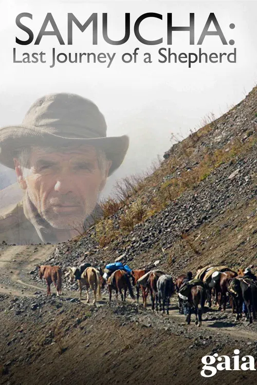 Samucha, un dernier été dans le Caucase poster