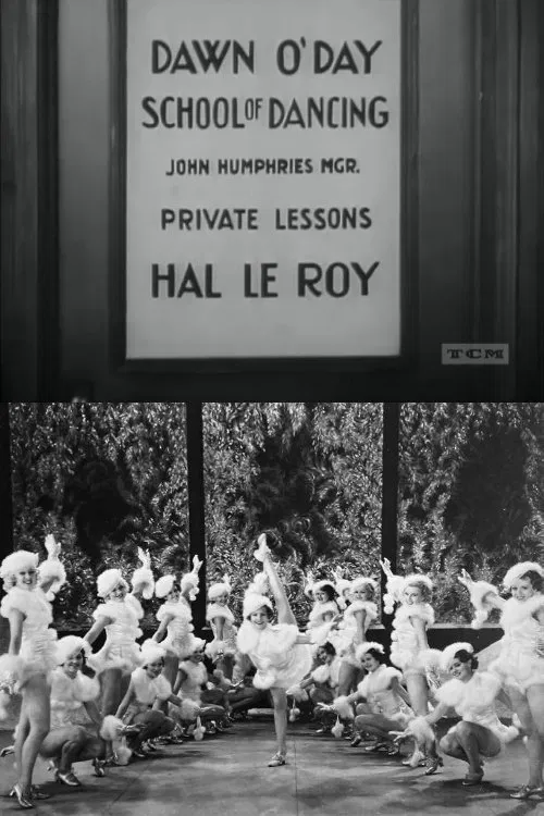 Private Lessons poster