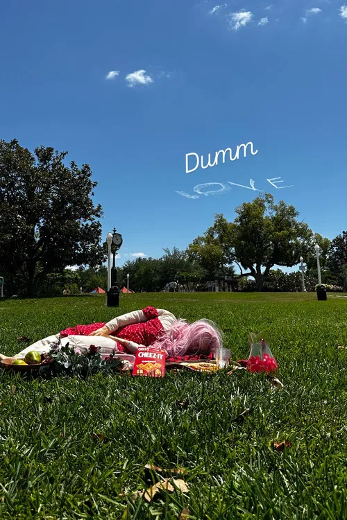 Dumm Love poster