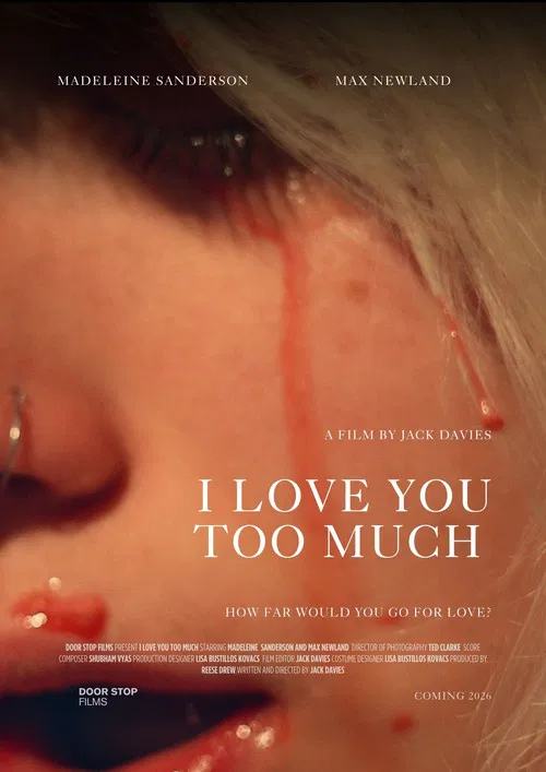 I Love You Too Much poster