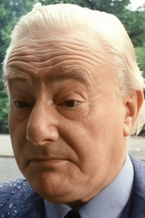 Wim van den Brink profile