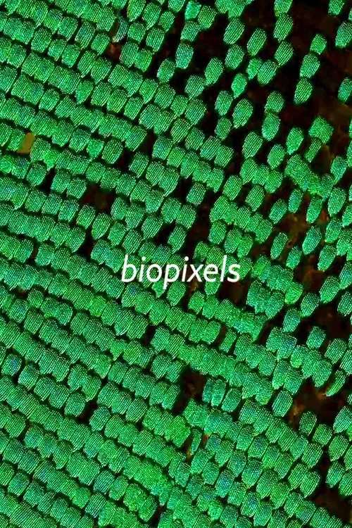 biopixels poster