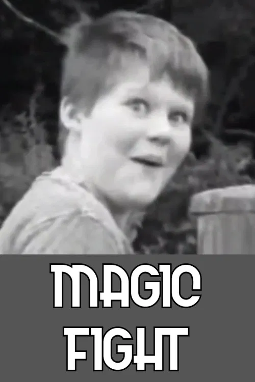 Magic Fight poster