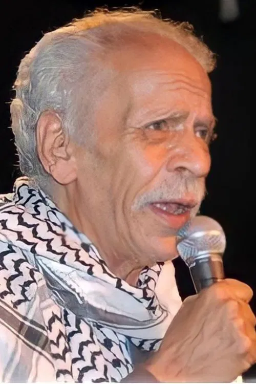 Ahmad Fouad Negm profile