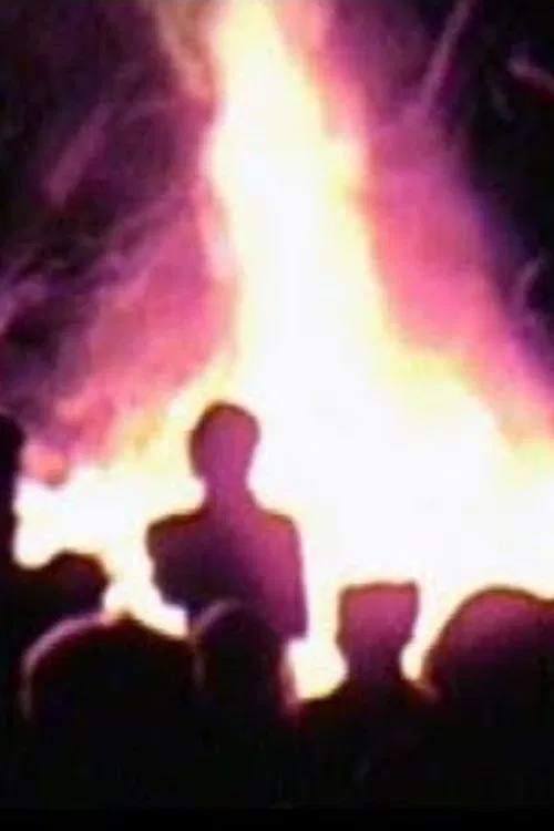 Just Coincidence poster