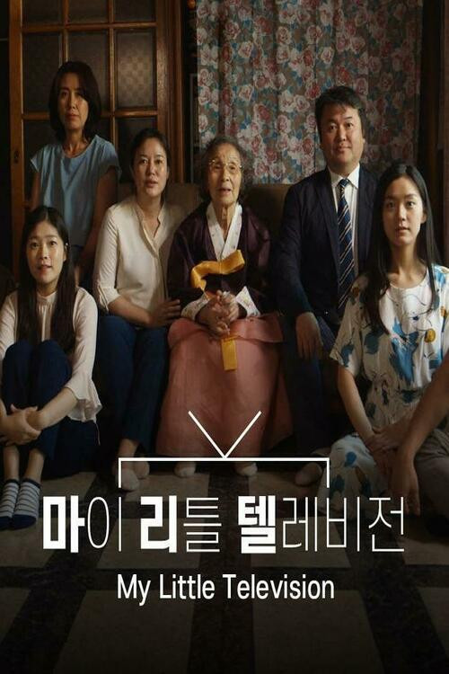 My Little Television poster