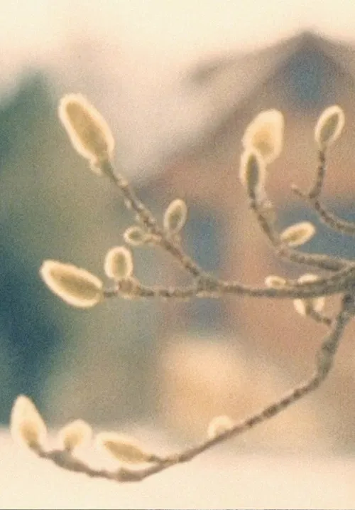 A Walk / Im Park / ZUOZ poster