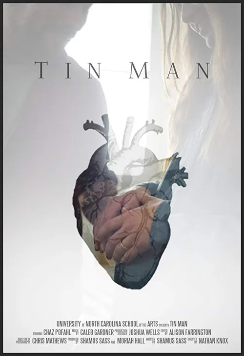 Tin Man poster