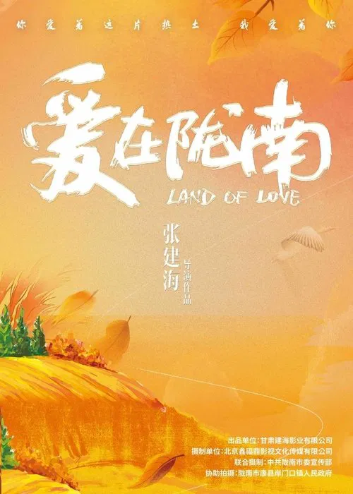 爱在陇南 poster