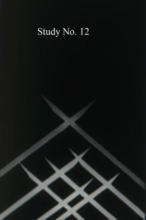 Study No. 12 poster