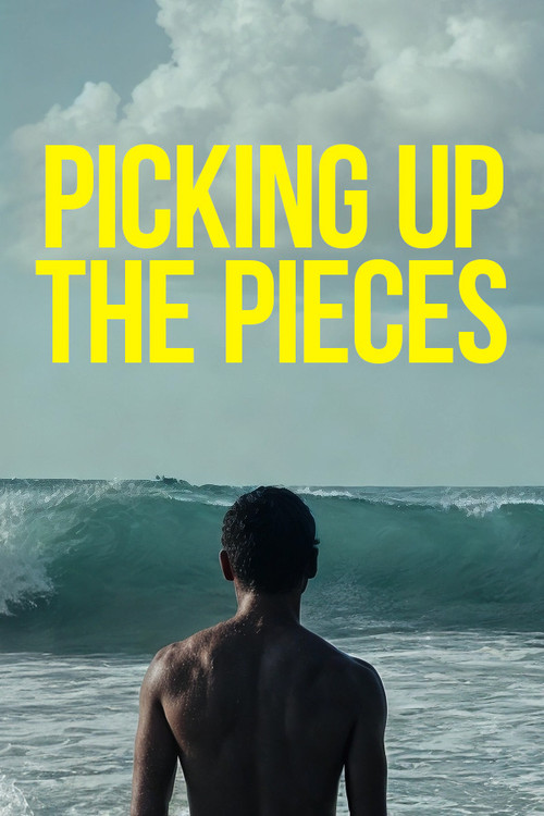 Picking Up the Pieces poster