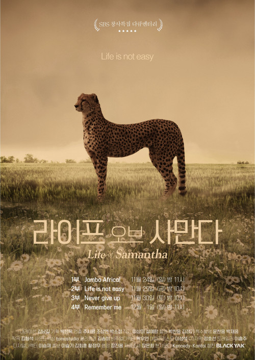 Life of Samantha poster