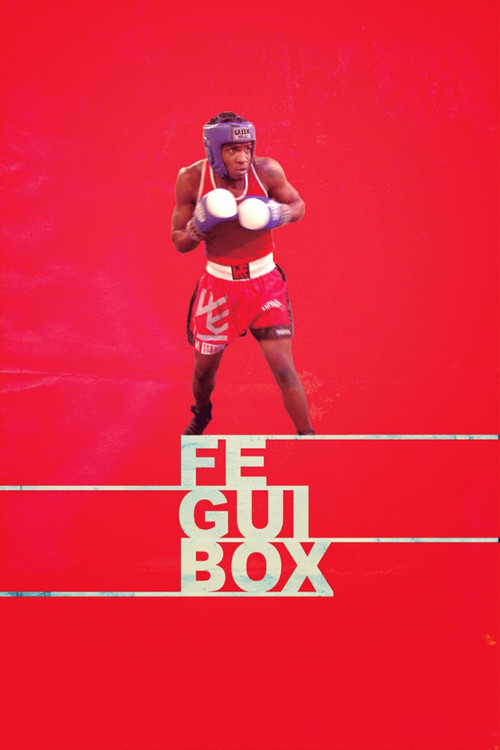 Feguibox poster
