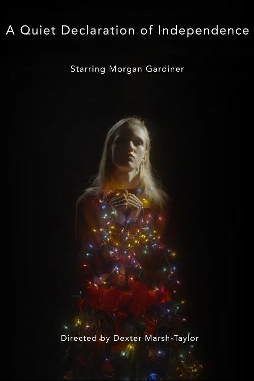 A Quiet Declaration of Independence poster