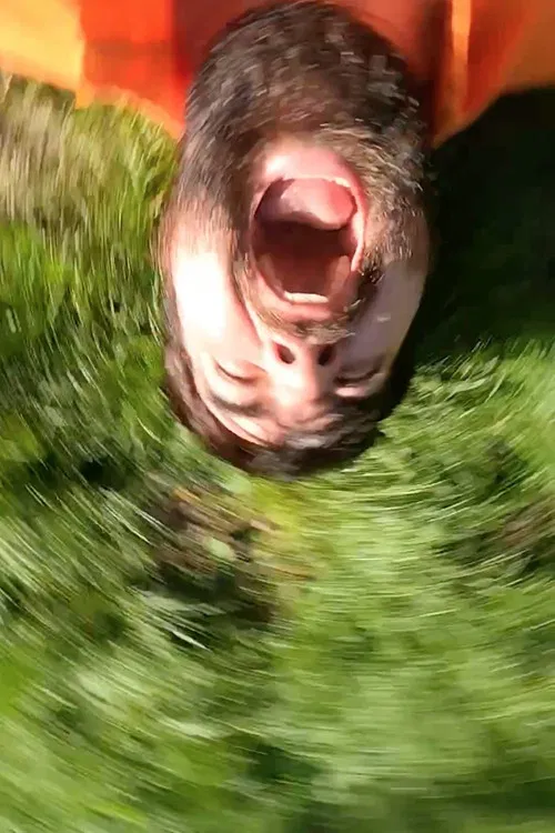 As I Was Moving Ahead Occasionally I Saw Brief Glimpses of Mayhem poster