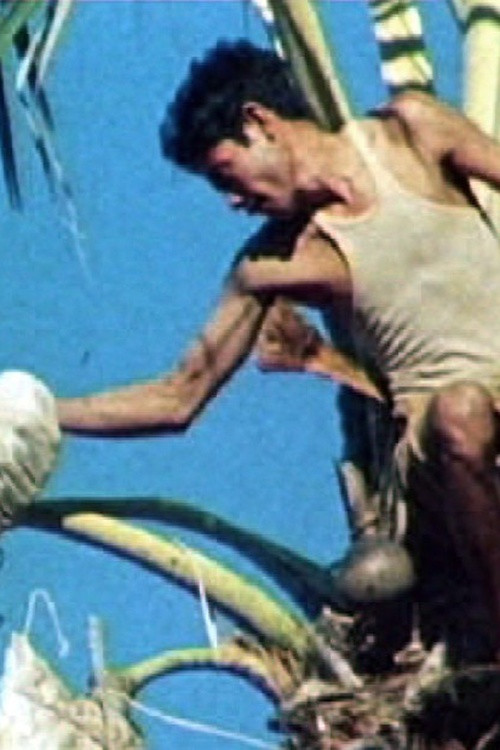 The Water of Words: A Cultural Ecology of an Eastern Indonesian Island poster