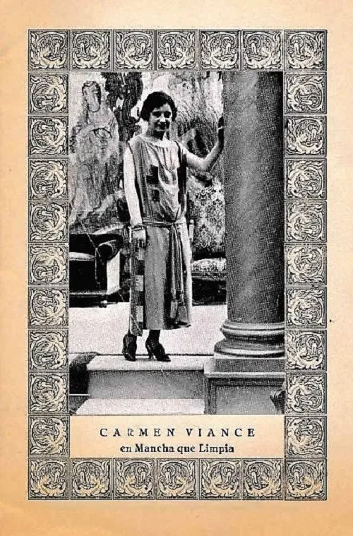 Stain that Cleans poster