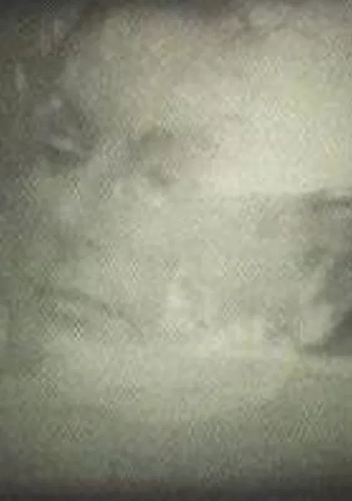 Yo veo conejos poster