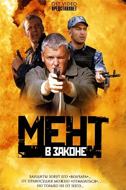 Cop in Law poster