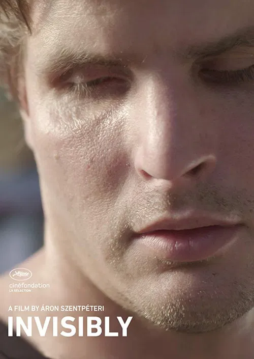 Invisibly poster