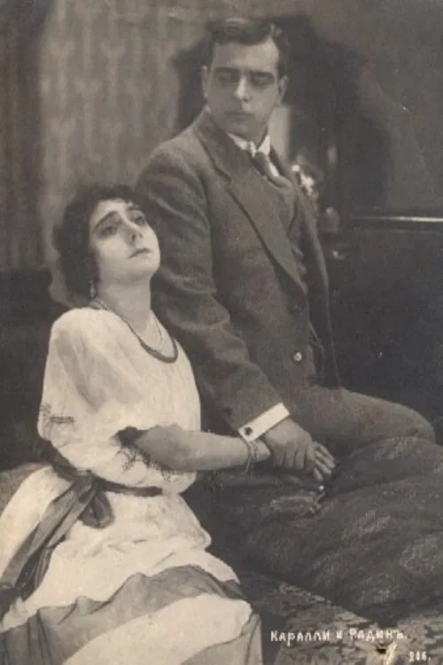 A Woman's Revenge poster