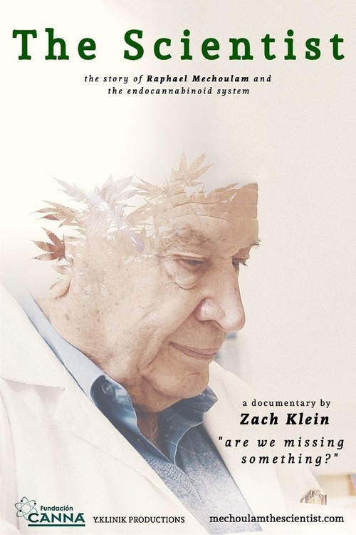 The Scientist: Are We Missing Something? poster