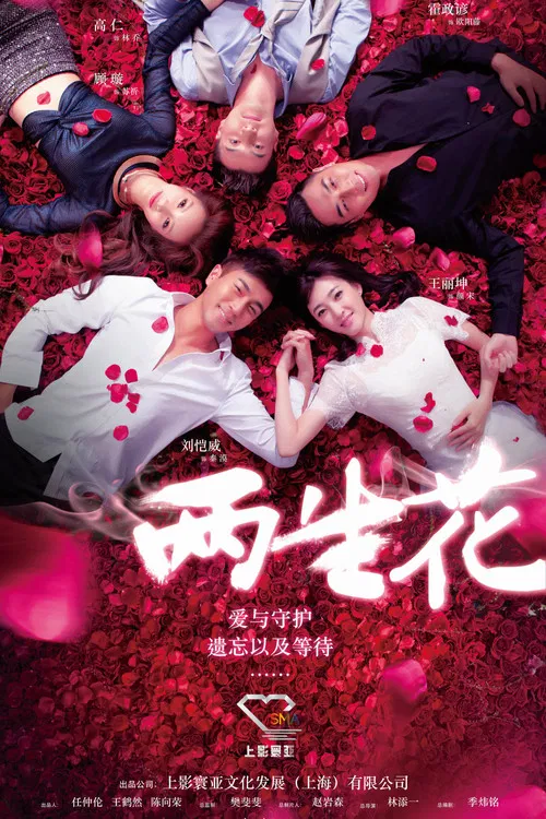 两生花 poster