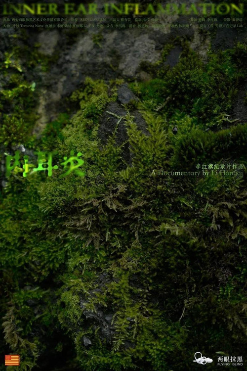 Inner Ear Inflammation poster