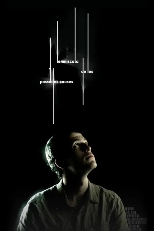 Lemniscata de les possibles causes poster