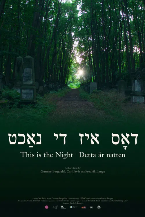 This Is the Night poster