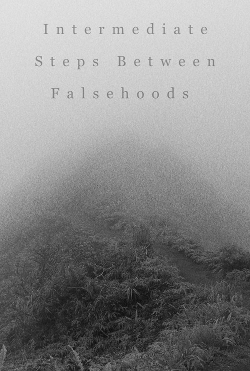 Intermediate Steps Between Falsehoods poster