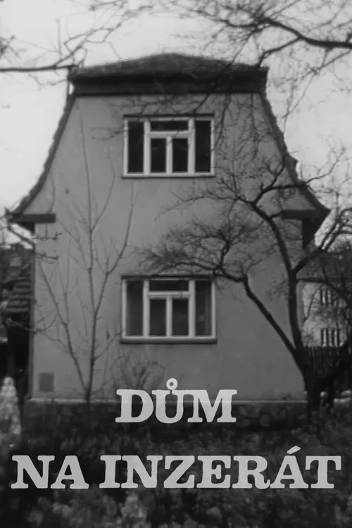 Dům na inzerát poster