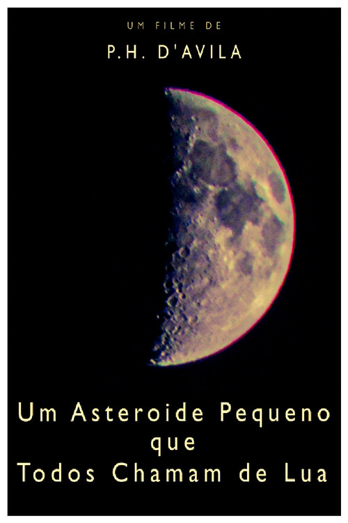 A Little Asteroid Called Moon poster