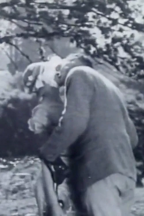 Hamilton Talks poster