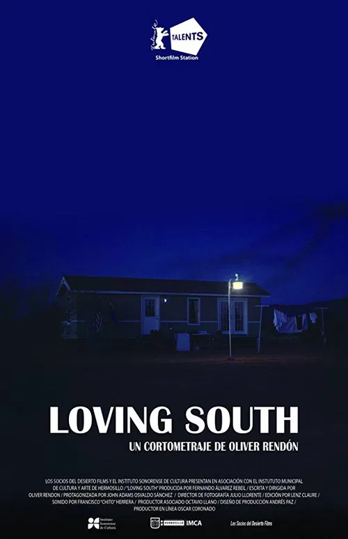 Loving South poster
