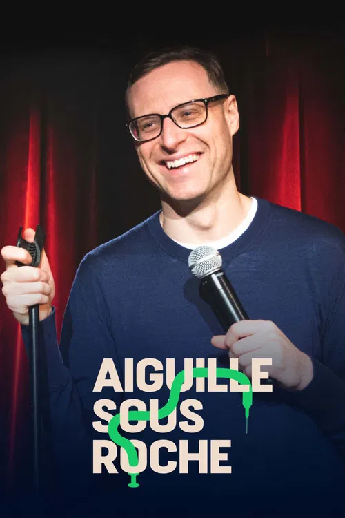 Aiguille sous roche poster