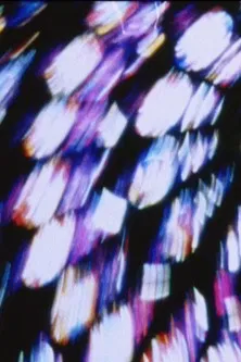 Deperdition Lointaine poster