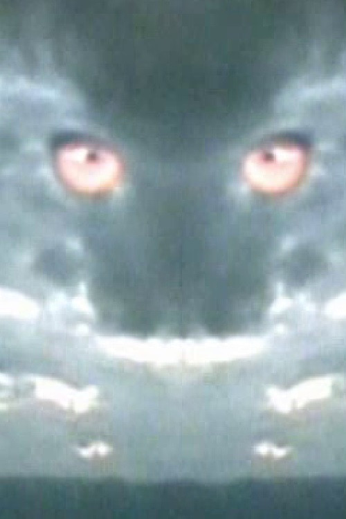 Haiku 2: Paper Dragon poster