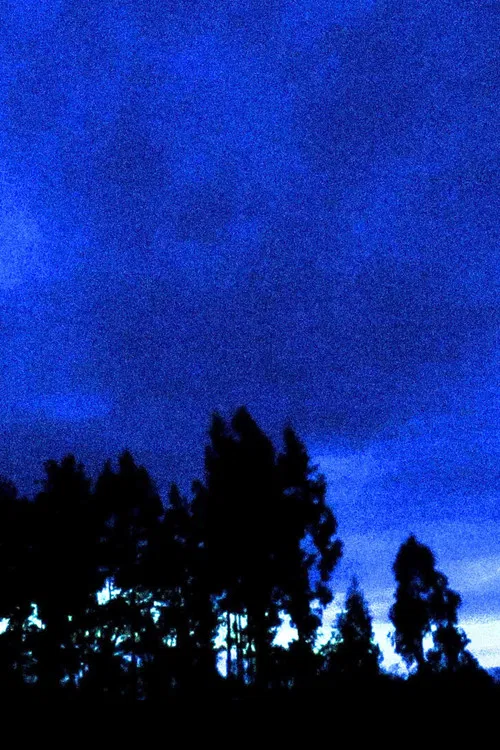 Looking South poster