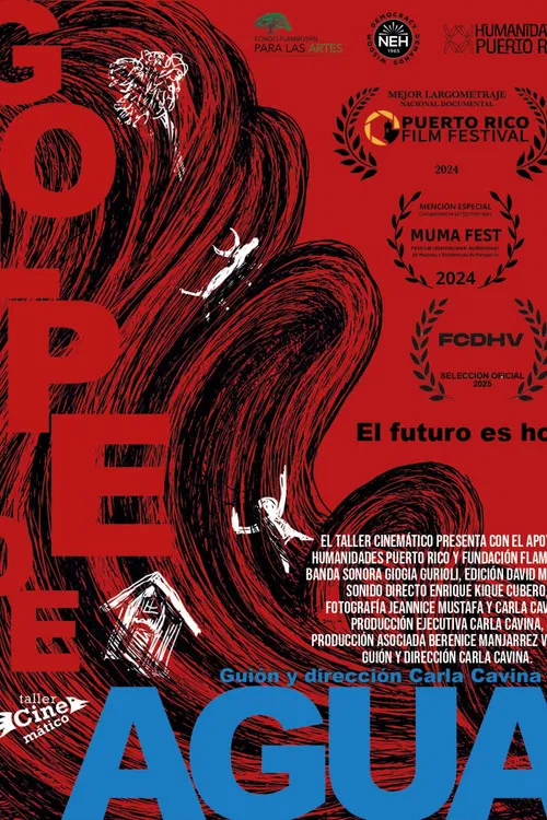 Golpe de agua poster