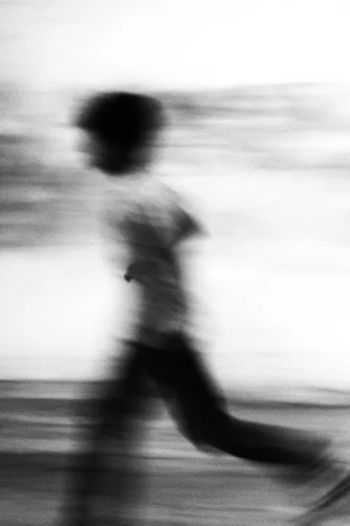 Seagull dog child poster