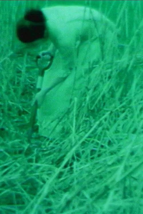 Dear God Please Save Me poster