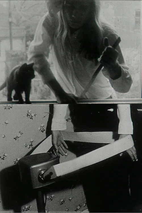 We Hope You Enjoy This Film poster