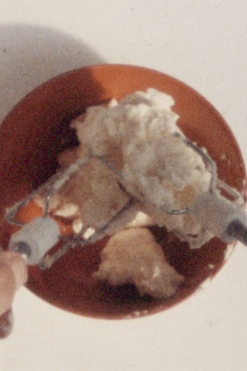 The Sadist Beats the Unquestionably Innocent poster